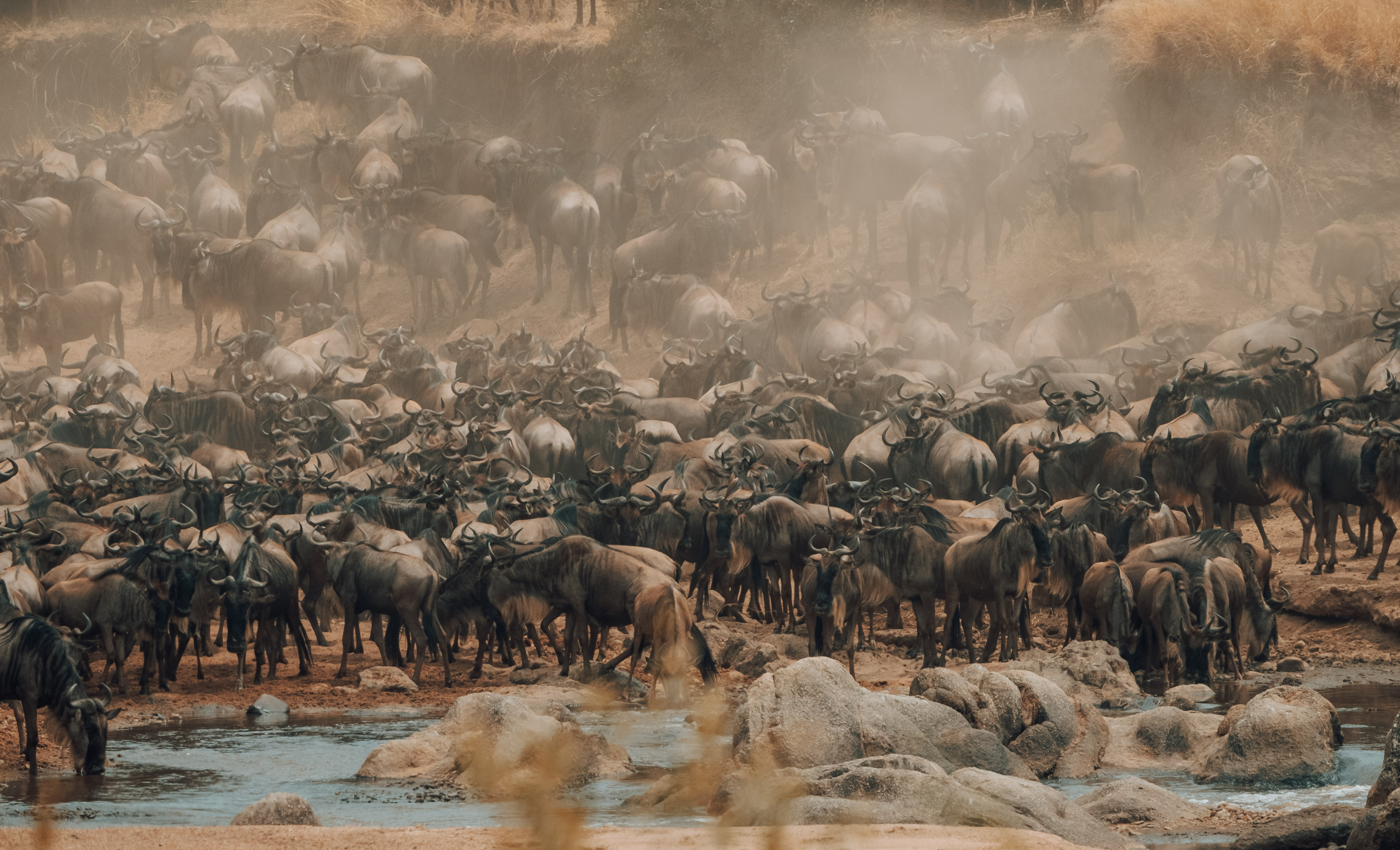 Nimali Mara — 12
