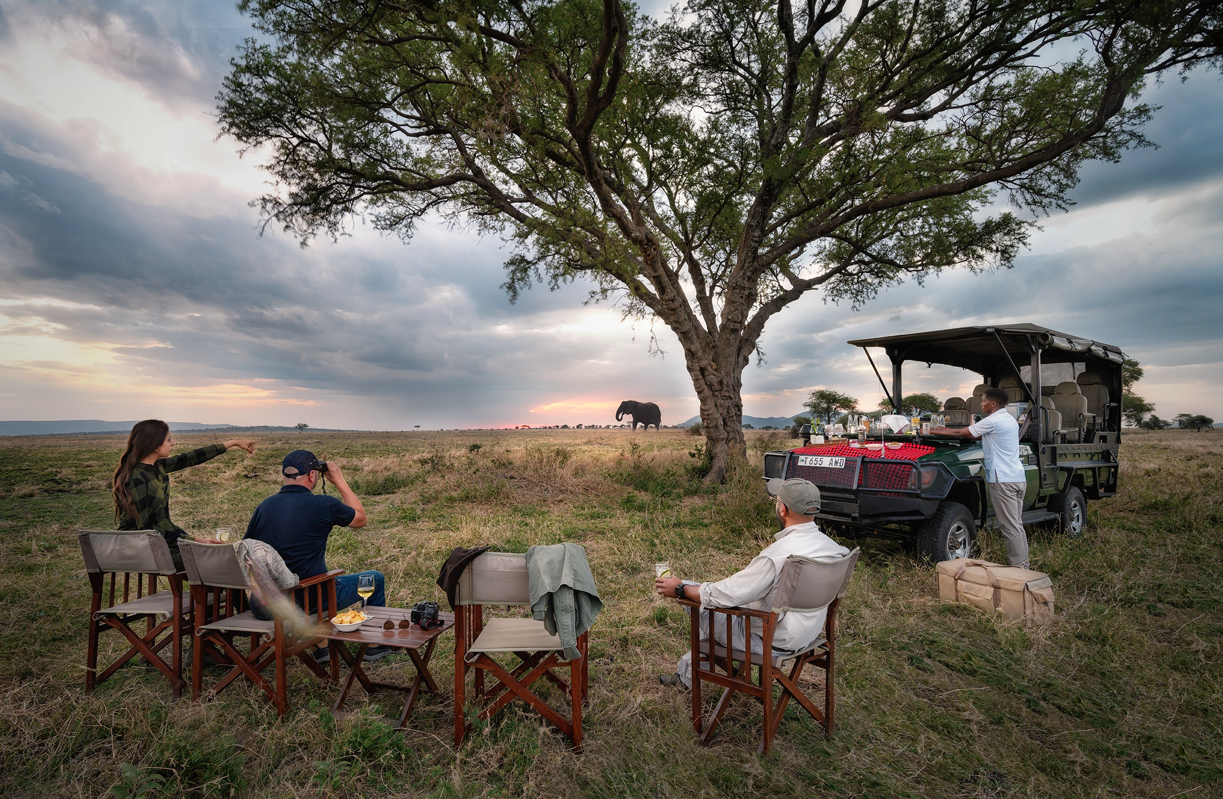 Nimali Serengeti — 2